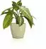 Lechuza Classico Color Deco 14