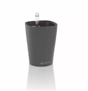 Lechuza Mini-Deltini basaltgrau matt