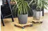 Metafranc Plant trolley bamboo (WU0825330)