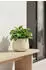 Vivanno Girar 31 x 27 cm vesuvcreme