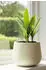 Vivanno Girar 31 x 27 cm vesuvcreme