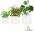 Blumfeldt Gendt plant pot white (set of 3)