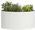vidaXL Pflanzenring 5er-Set Weiß Stahl 40x40x20cm (873609)