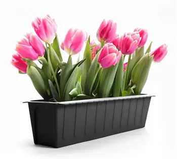 BigDean Paletten-Blumenkasten Einsatz Anthrazit, Kunststoff, 20 Stück (1770500)