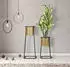 Mauro Ferretti CUP Blumentopf-Ständer 2er-Set Gold/Schwarz Ø26x70cm & Ø23x45cm (1422940000)