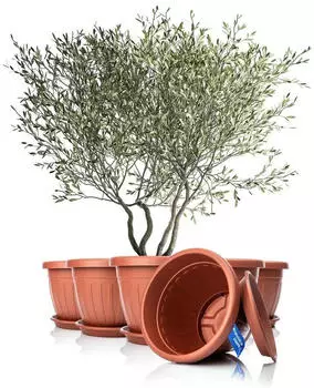 BigDean Blumentopf mit Untersetzer rund Ø50x38cm Terracotta 6er-Set (800005)