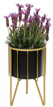 DanDiBo Blumenhocker mit Topf Metall Gold Schwarz Rund 32cm (96039)