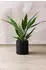 Vivanno rund Aluminium NEW RONDO schwarz matt 25x25 cm
