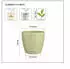 Lechuza Classico Color Deco 14
