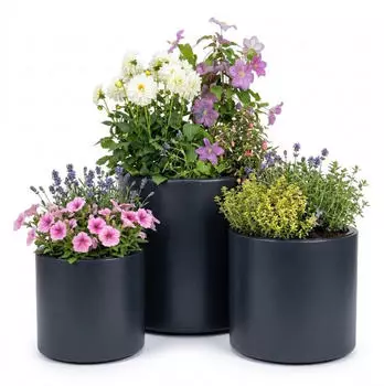 Prosperplast Heos plastic flower pot 29.8 cm anthracite