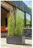 Deroma Millenium planter 59 x 25 x 25 cm anthracite