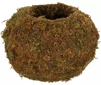Esschert Kokedama sphere M
