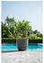 Garden ID Phoenix pot 38 x 34 cm anthracite
