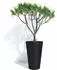 Garden ID Green Care Sense tall flower pot 55 cm anthracite black