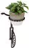 Relaxdays Wandhalter Blumentopf Einrad-Design Dunkelbraun, 3er-Set