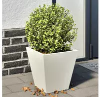 vidaXL Pflanzk&uuml;bel 2 Stk. Wei&szlig; 30x30x30 Stahl