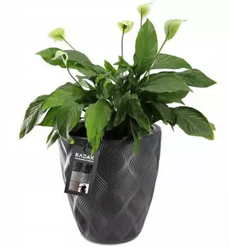 Kadax Pflanzkübel mit Einsatz und Griffen, Kunststoff, Anthrazit, 39cm (K4347)