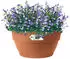 Elho Vibia Campana Bowl 34cm Terra