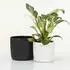 Scheurich Solido Linea Blumentopf Keramik Ebano Ø24,1cm (909/24)