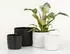 Scheurich Solido Linea Blumentopf Keramik Ebano Ø24,1cm (909/24)