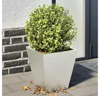 vidaXL Pflanzk&uuml;bel 2 Stk. 30x30x30 cm Edelstahl