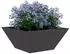 vidaXL Garten-Pflanzgefäß Schüsselform 5er-Set Schwarz 35x35x15cm Stahl