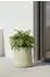 Vivanno Vekra 40 x 40 cm vesuvcreme
