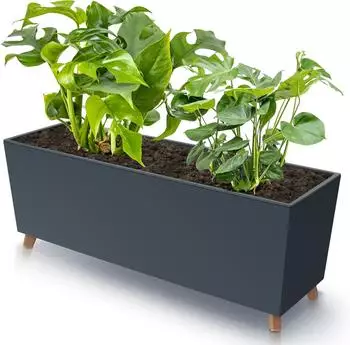 Botle Blumenkasten mit Füßen Anthrazit 77x30cm Kunststoff UV-beständig