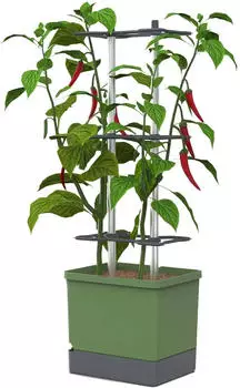 Gusta Garden Charly Chili XL Chili-Pflanztopf dunkelgr&uuml;n, 34,7x138x28,1cm