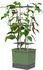Gusta Garden Charly Chili XL Chili-Pflanztopf dunkelgrün, 34,7x138x28,1cm