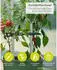 Gusta Garden Charly Chili XL Chili-Pflanztopf dunkelgrün, 34,7x138x28,1cm