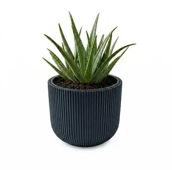 Prosperplast Milly Blumentopf Kunststoff Anthrazit 22L (ZA5609)