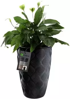 Kadax Blumentopf "Jesi" mit Einsatz und Griffen, Kunststoff, schwarz, 48.5cm