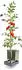 Gusta Garden Tomato Pflanzgefäß 3er-Set blau (W07075)