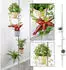 Spetebo Teleskop Blumenregal Metall/Glas 4 Ablagen 175-275cm (34044)
