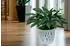 Prosperplast Sandy Round plastic flower pot 12.8 x 11.1 cm white