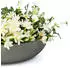 Vivanno Plana Pflanzschale Fiberglas 34x9 cm skandigrau