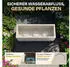 Ondis 2x Vulkano 50L leinen