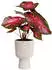 Elho vibes fold coupe 14 cm leinenweiß