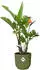 Elho vibes fold rund 40cm ferngrün