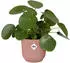 Elho vibes fold rund 40cm zartrosa