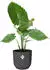 Elho vibes fold rund 47cm anthrazit