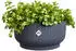 Elho vibes fold bowl 25cm anthrazit