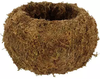 Esschert Kokedama sphere L