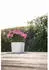 Garden ID Respect pot 25 x 25 x 25 cm white