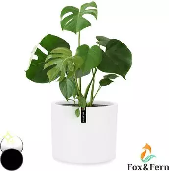 Blumfeldt Pflanzentopf Faserstein In/Outdoor wei&szlig; 25cm