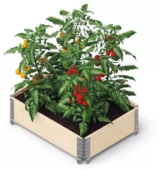 Konus GardenBox ECO Hochbeet, Kiefernholz PEFC, verzinkter Stahl, 80x60x20cm (0031)