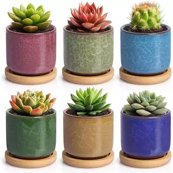 LuxusKollektion Keramik-Sukkulententöpfe 6er-Set mit Untersetzer, 6,3cm (T4U)