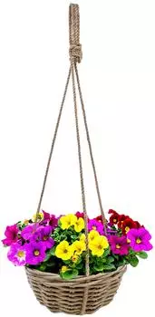 Spetebo Blumenampel Rattan shabby chic mit Folie, 30cm (4889)