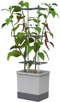 Gusta Garden Charly Chili XL Pflanzk&uuml;bel mit Rankhilfe und Bew&auml;sserungssystem, hellgrau
